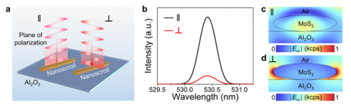 伟德国际唯一官网入口